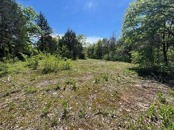 4th image of 0 Joe Brown Rd Lot 2