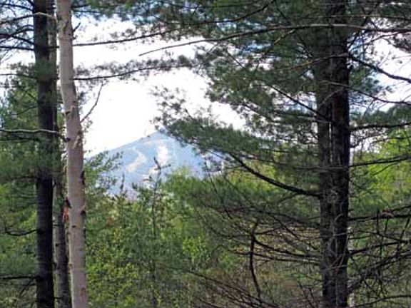 5th image of 103 Stewart Mountain Way