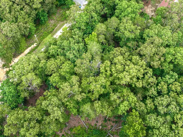 3 Hickory Ln, Valley Head, AL 35989