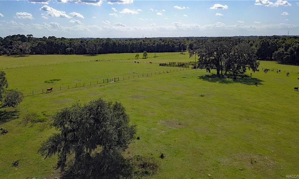 3750 E Cart Ln, Inverness, FL 34453 Zillow