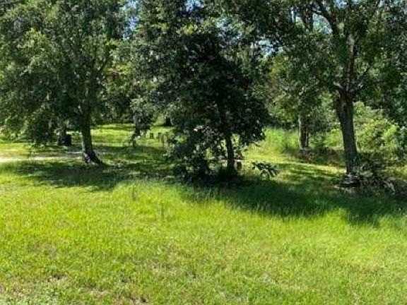 3rd image of 18513 County Road 12 S