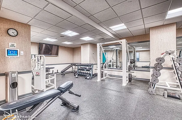 Rented by Platinum Properties | media 26