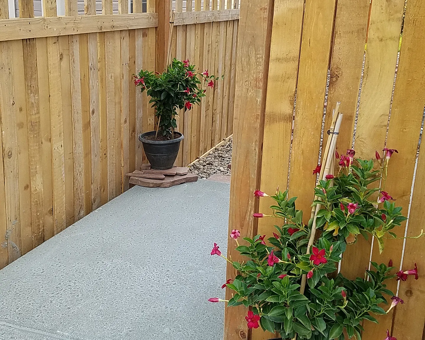 215 Longspur Drive — Photo 1
