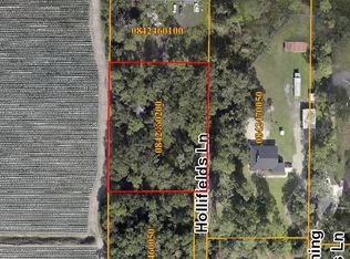 1817 Hollifields Ln, Dover, FL 33527