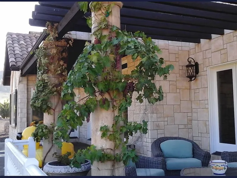 7640 Butts Canyon Rd — Photo 23