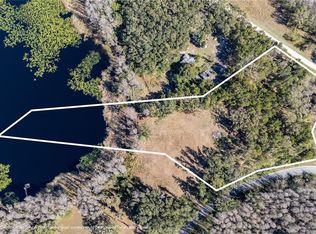 4539 Cobb Rd, Land O Lakes, FL 34638