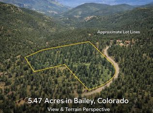 927 Forest Dr, Bailey, CO 80421