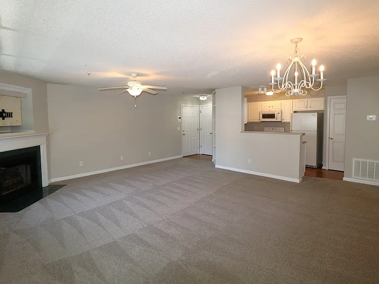 421 Timberline Ridge Ct — Photo 5