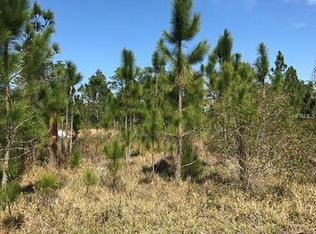 9085 Richmond Rd, Saint Cloud, FL 34773