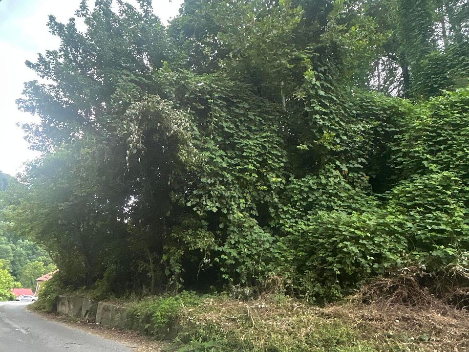 1st image of Big Branch Rd