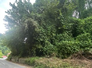Big Branch Rd, Saint Charles, VA 24282