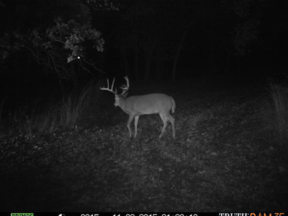 5th image of 42843 S County Road 265