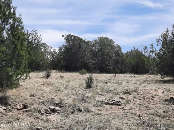 32890 W Forest Ln, Seligman, AZ 86337