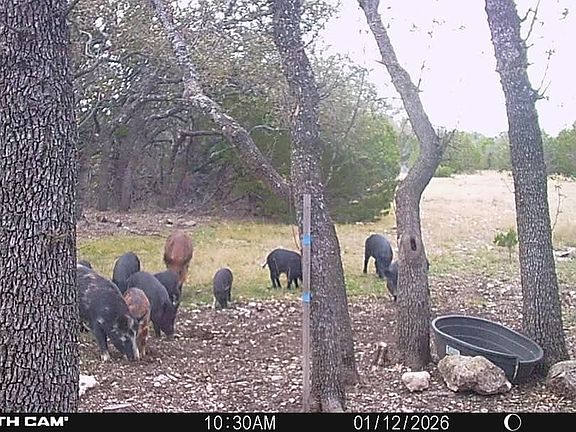 3rd image of TBD sd 74100