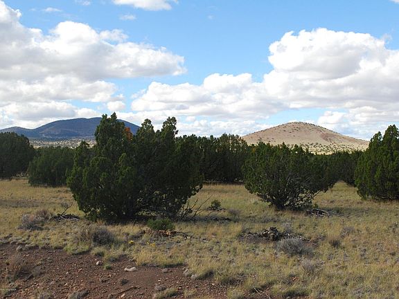 4th image of 4255 Sacred Peaks Trl