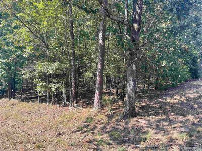 1 Valhalla Dr, Edgemont, AR, 72044
