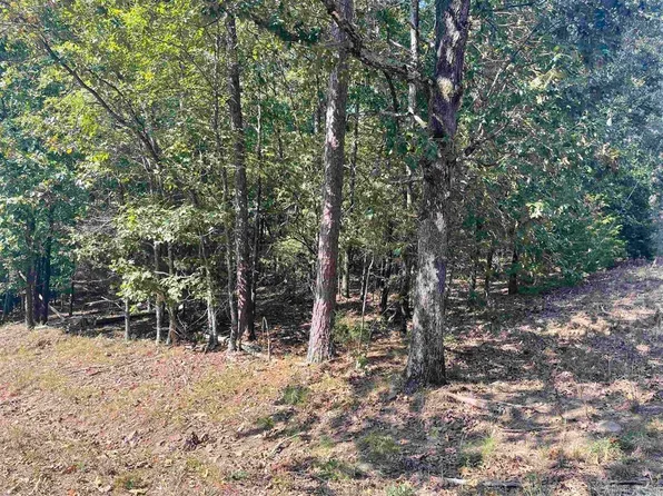 1 Valhalla Dr, Edgemont, AR 72044