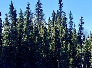 Nhn Spruce Rd, Delta Junction, AK 99737
