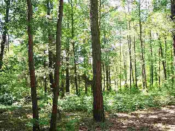 4th image of 176 County Road 1309
