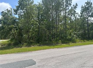1 Gloxinias Ct, Homosassa, FL 34446