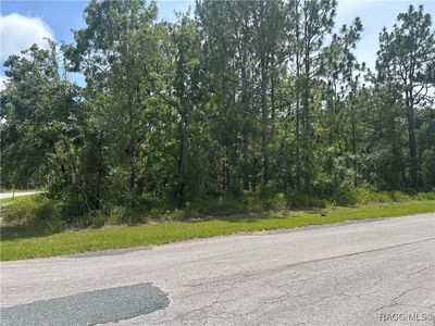 1 Gloxinias Ct, Homosassa, FL, 34446