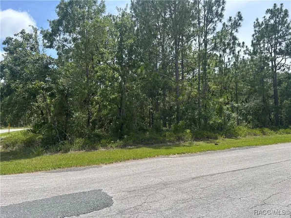 1 Gloxinias Ct, Homosassa, FL 34446