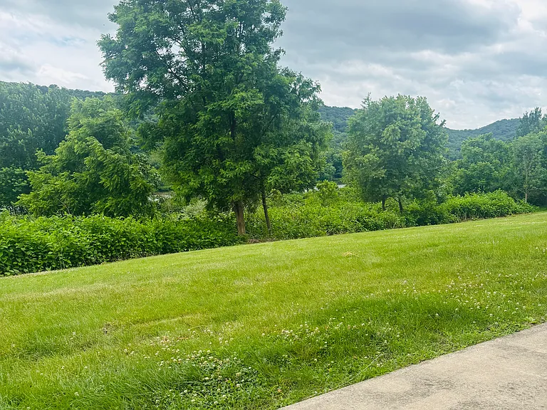 view from back patio