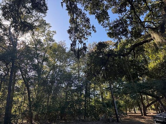 5th image of 8785 Palmetto Rd