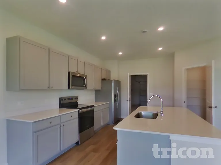 56 Brazil Nut Cir — Photo 7