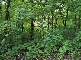 4001 Highway 221, Farmington, MO 63640