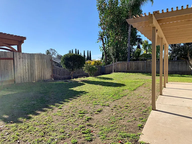 Back Yard