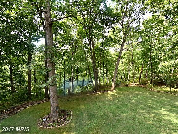Level Lawn / Lofty Shade Trees Framing Water Views