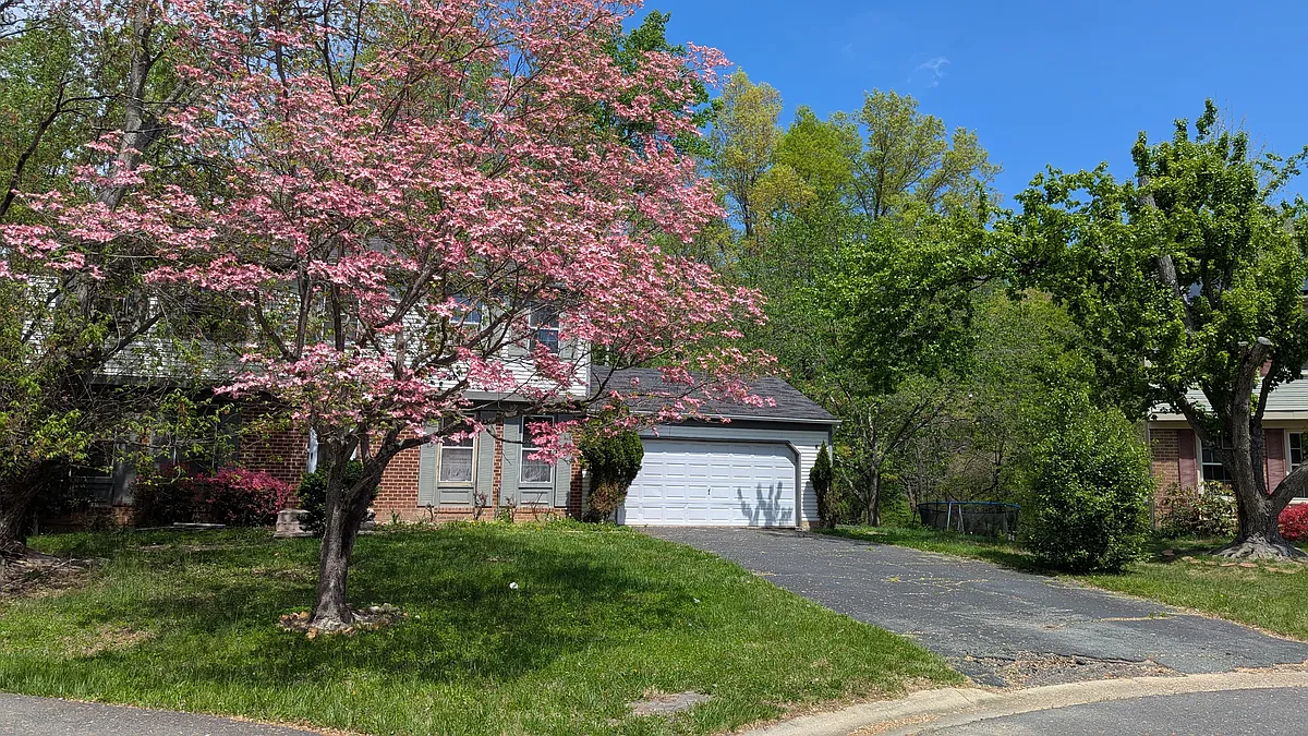Building Photo - Mourning Dove Ct