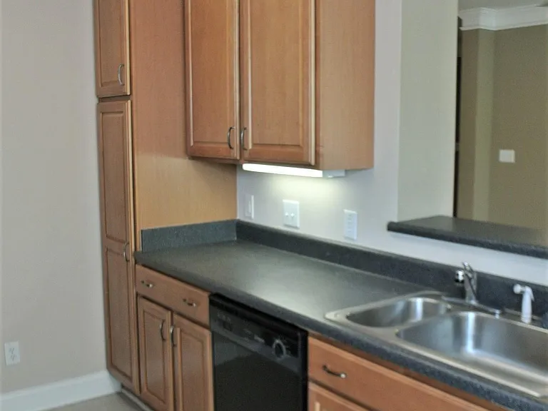 1621 Providence Glen Dr — Photo 4