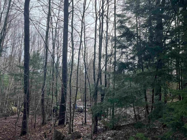 9 Moose Ridge Road, Ossipee, NH 03864