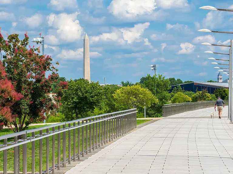 Enjoy the monument views that define DC.