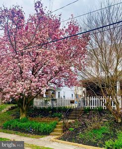 2319 Belmont Ave, Ardmore, PA, 19003