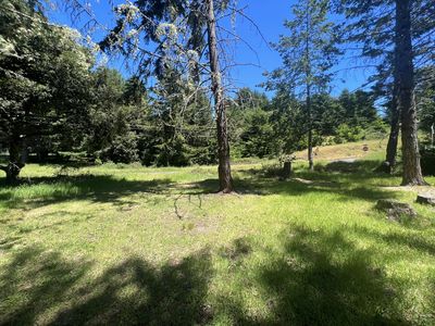 150 Debbie Ln, Whitethorn, CA, 95589
