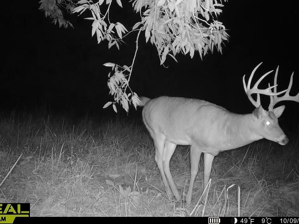 1st image of 0 Malone Rd