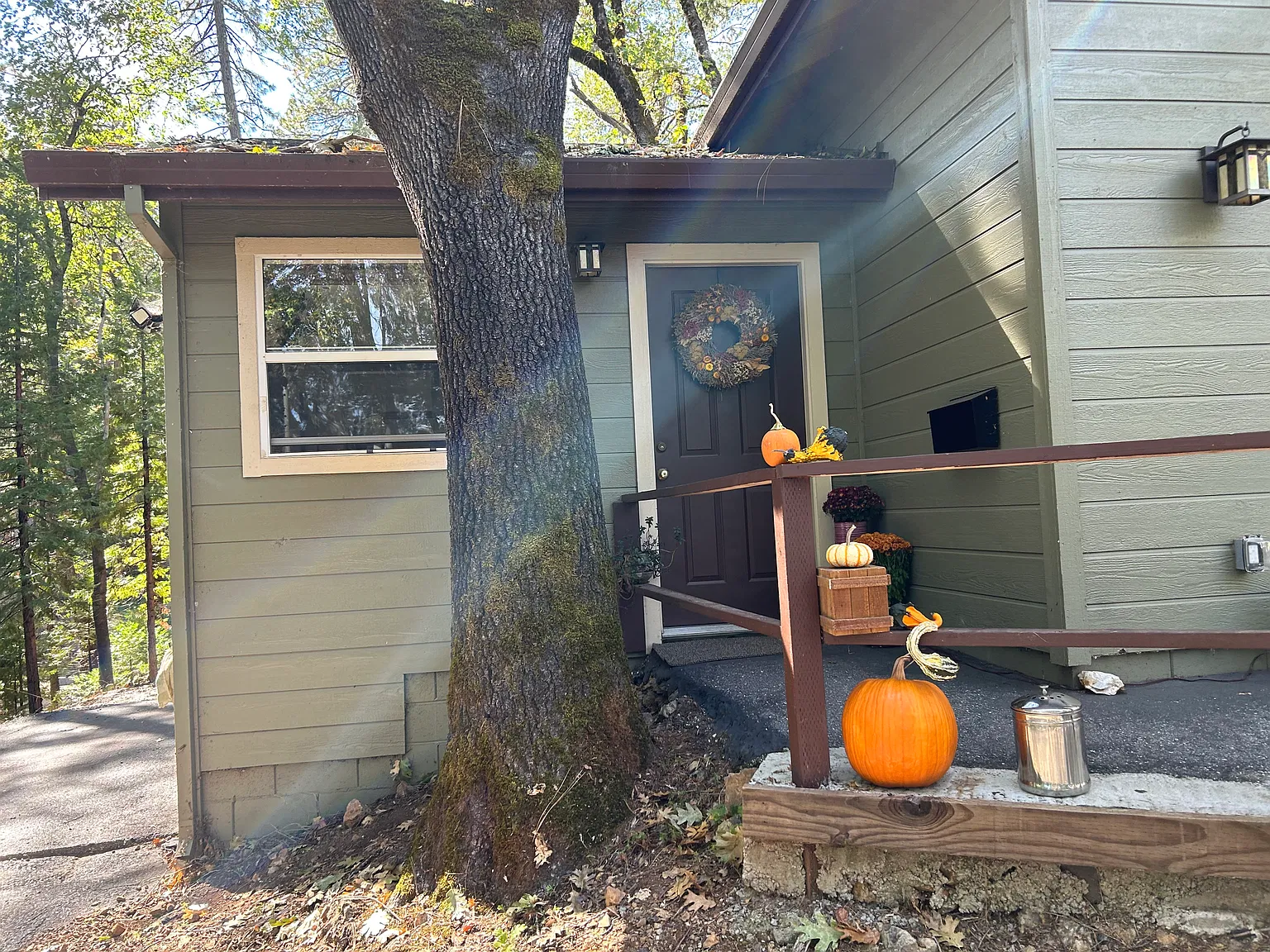 1 bed, 750 sqft, $1,600 — Photo 2
