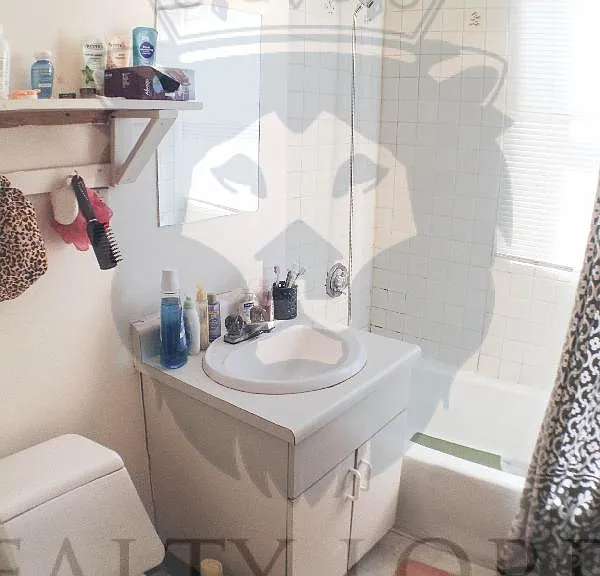 243 Harvard Ave #4 — Photo 23