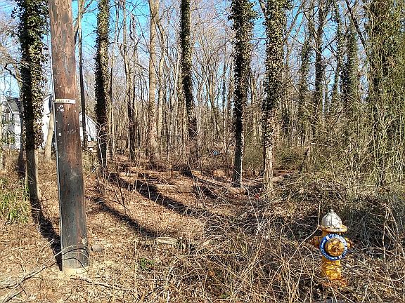 Southwest corner of property