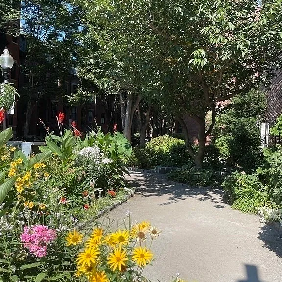 556 Columbus Ave #9 — Photo 4