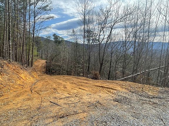 5th image of 532 Little Bear Rd Lot 18