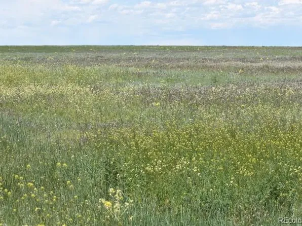 20601 County Road 169, Matheson, CO 80830