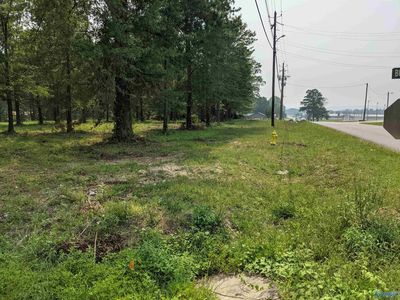 LOT 1 Jones St SE, Attalla, AL, 35954