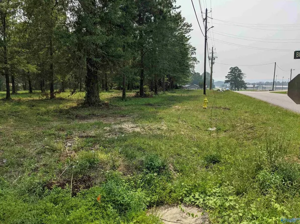 LOT 1 Jones St SE, Attalla, AL 35954