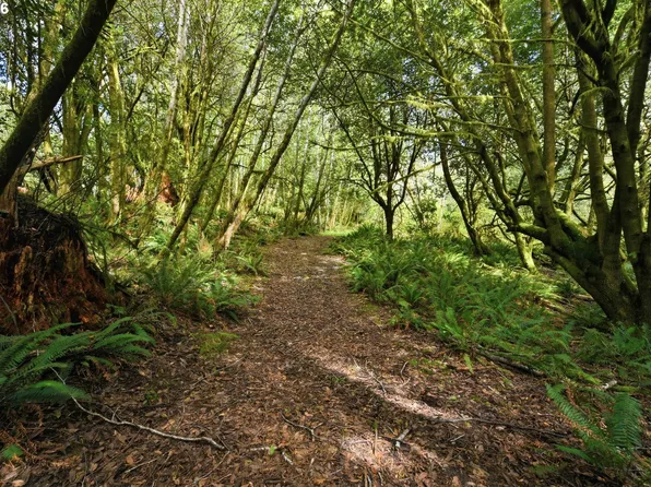 0 Cougar Rd, Coquille, OR 97423