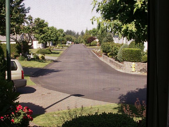 3rd image of 1948 Hollyhock Ln SE