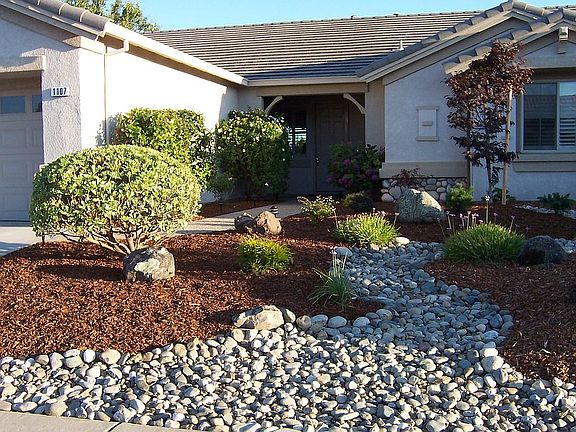 Front yard 1